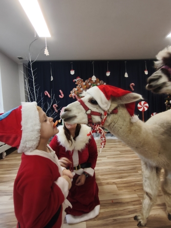 mvimg_20251204_103658_1