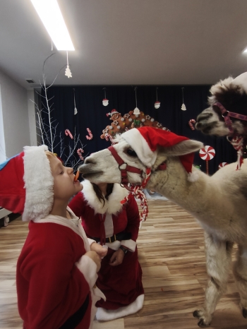 mvimg_20251204_103659