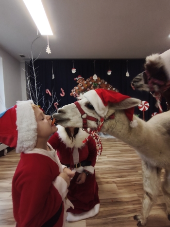 mvimg_20251204_103659_1