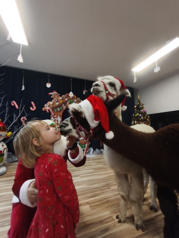 mvimg_20251204_103731