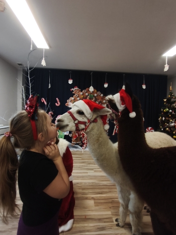 mvimg_20251204_103809