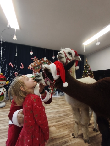 mvimg_20251204_103732