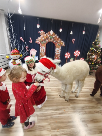 mvimg_20251204_104016