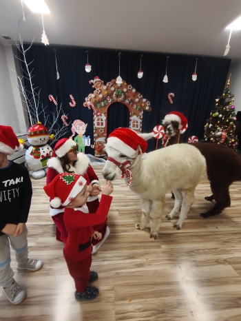 mvimg_20251204_104020