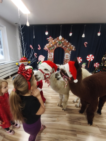 mvimg_20251204_104038