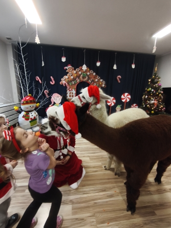 mvimg_20251204_104049