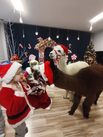 mvimg_20251204_104059