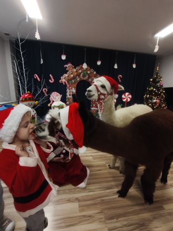 mvimg_20251204_104059_1