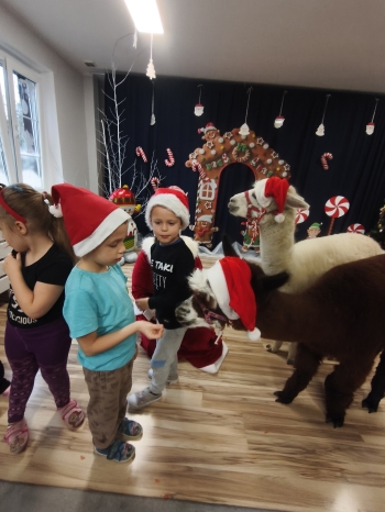 mvimg_20251204_104109