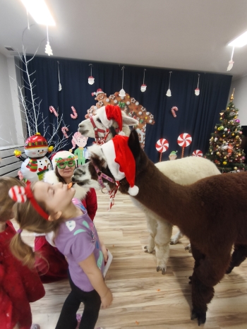 mvimg_20251204_104124