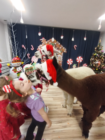 mvimg_20251204_104124_1