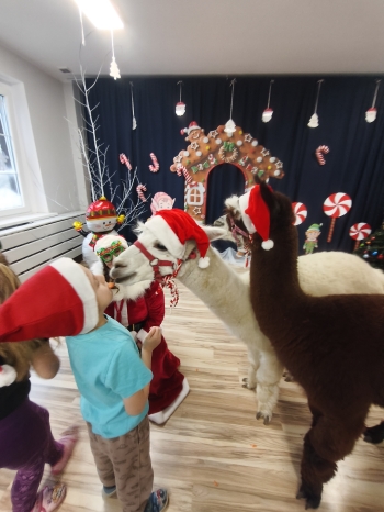 mvimg_20251204_104159