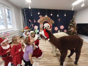 mvimg_20251204_104209