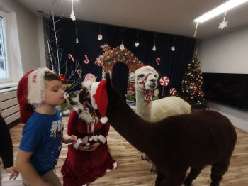 mvimg_20251204_104339_1