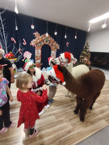 mvimg_20251204_104455