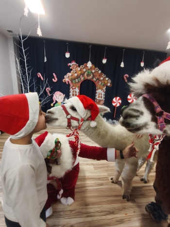 mvimg_20251204_104506