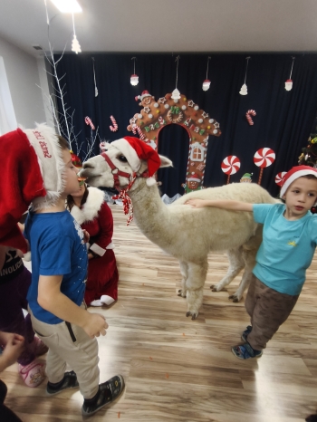 mvimg_20251204_104517_1