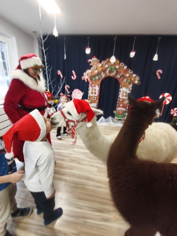 mvimg_20251204_104638