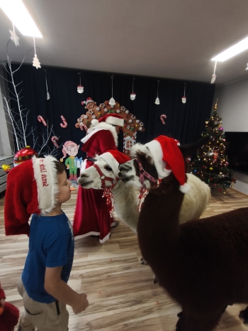 mvimg_20251204_104645