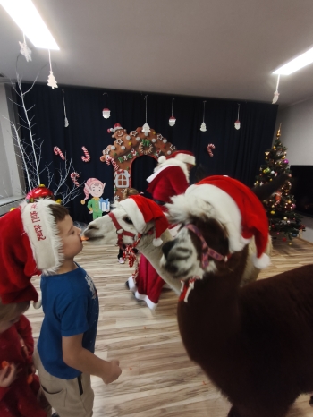 mvimg_20251204_104646