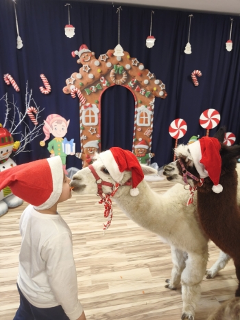 mvimg_20251204_104742