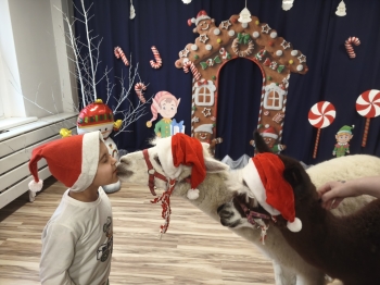 mvimg_20251204_104805