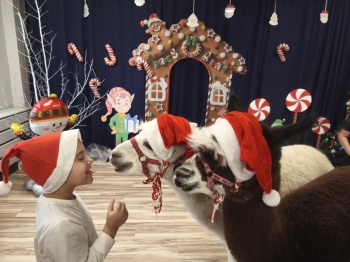 mvimg_20251204_104808