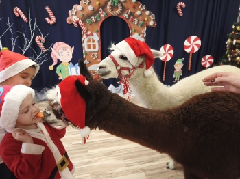 mvimg_20251204_104906