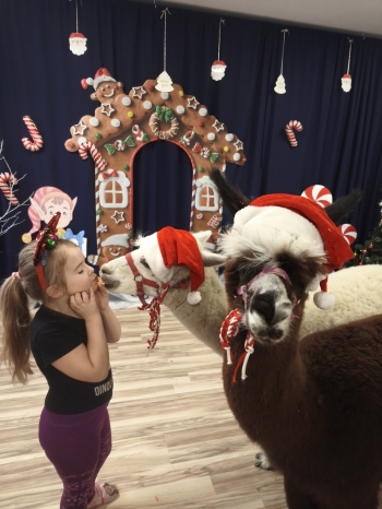 mvimg_20251204_104922