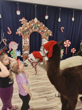 mvimg_20251204_104919