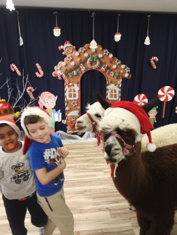 mvimg_20251204_104932