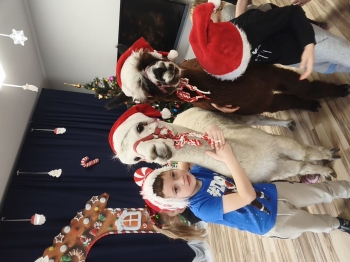 mvimg_20251204_105000