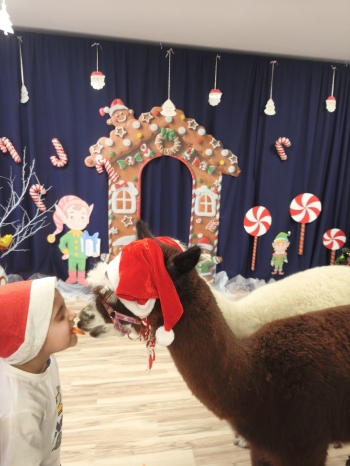 mvimg_20251204_104936