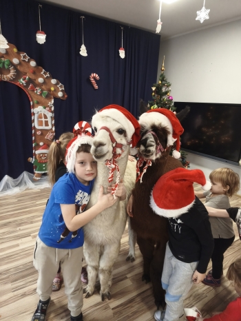 mvimg_20251204_105001