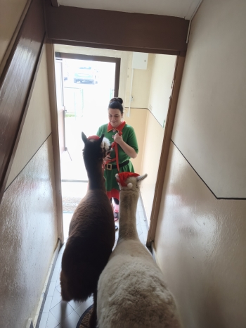 mvimg_20251204_105240