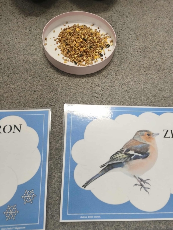 608427156_875803975033878_4883475281626192335_n