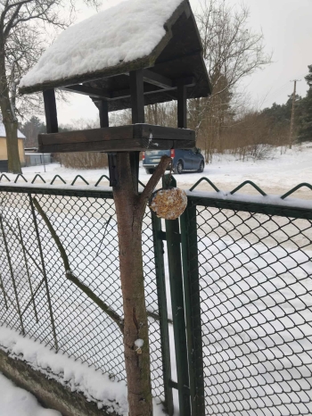 611174655_1202107405414151_506343012861964515_n