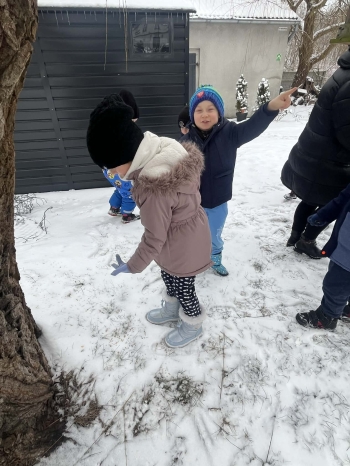 81186b5b-776f-41ad-9f02-7c1721c31062