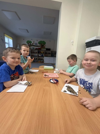 f8cc40d6-7c87-4d2c-beee-7d5490fdbb5f