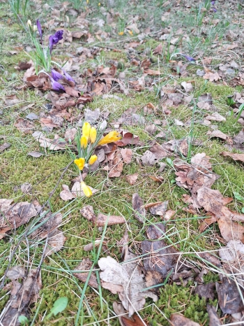 3aa9a8bb-b50f-420e-bafc-0056229d5dac