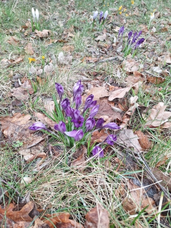 591156cb-1fc0-4c50-b4d0-972eb5c03706