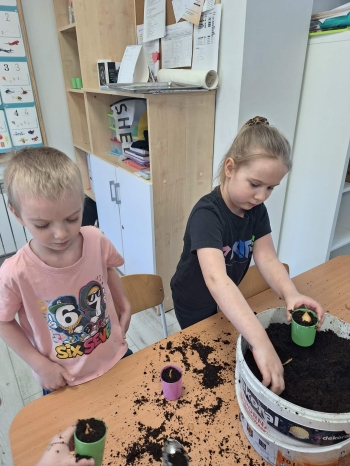 0b374dc8-9bb3-41df-bf0a-fa010259074b