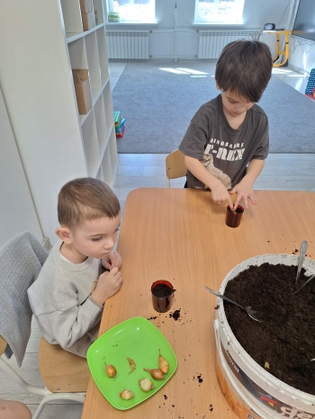 339204bb-ef92-4257-b929-b8340858914f