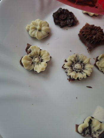 d1ff3a1e-5b10-40a3-9785-80c87f2c3bc4