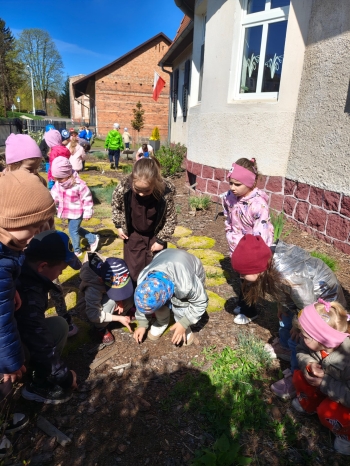 7ab5661d-66d5-4f02-b8a8-fce74b4c17dc