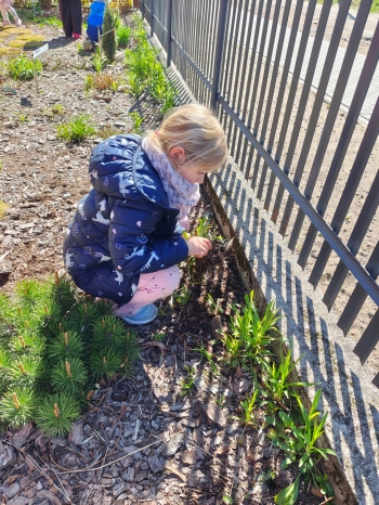 9cd931d2-4d6f-477c-93d2-ed919410ebcd