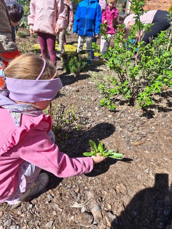 b8fb5778-6cee-48f6-95a6-24f29f9ae6c0