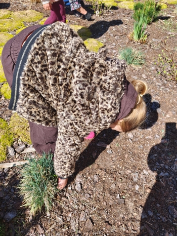 e60f6306-6563-410d-91f4-42b9edd73d34