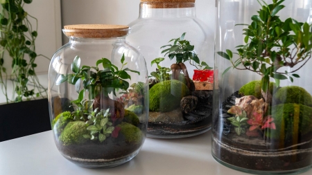 Zajęcia otwarte z rodzicami