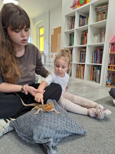 Mali odkrywcy zwierząt. Poznajemy agamę brodatą